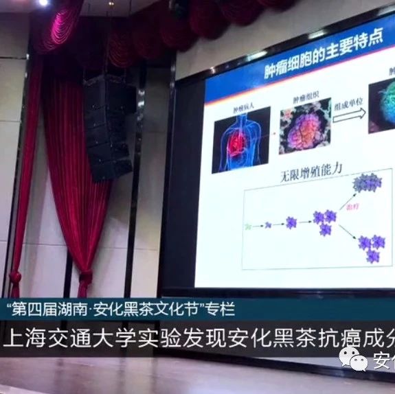 【视频】名嘴何炅副省长隋忠诚在“乡人乡味”晚会推荐安化黑茶