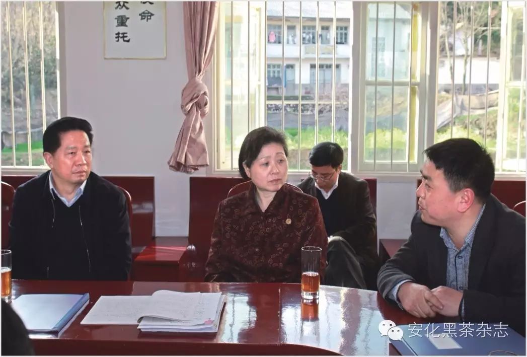 副书记,省长杜家毫(右三)在安化县委书记杨光鑫陪同下视察云上茶园