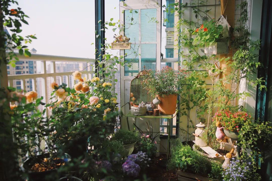 5㎡小阳台，打造治愈系小花园
