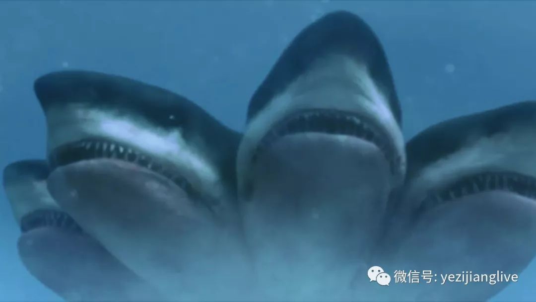 7.30美国【夺命五头鲨】致命突变的五个头的大白鲨威胁游轮