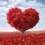 两个文盲的微信聊天!笑翻千万人,差点笑怀孕了~