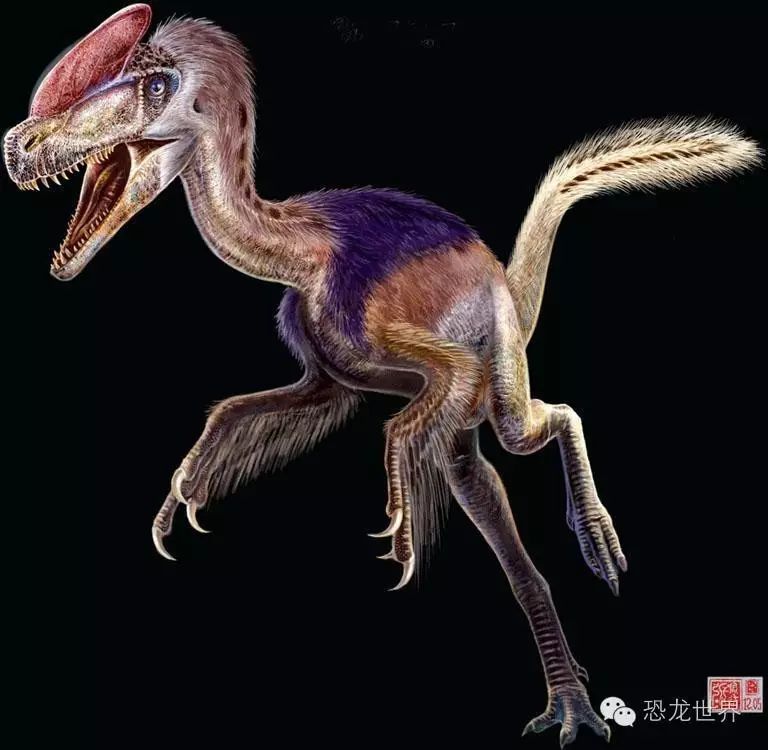 冠龙:侏罗世肉食性恐龙