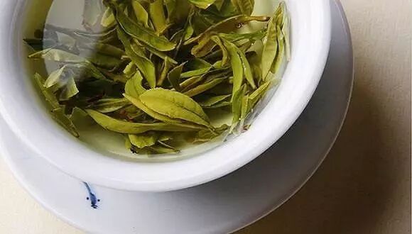 绿茶怎么冲泡才好喝——“三招”教你泡绿茶