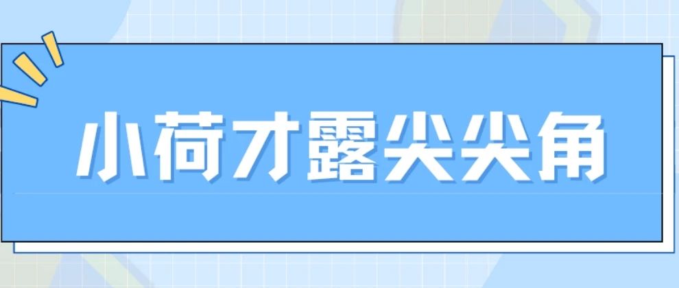 徐天佑:湖南省“小荷”人才项目培养对象,岳阳市优秀科技工作者