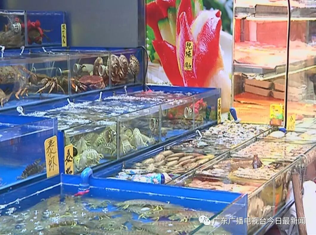 吃水產(chǎn)品要小心！廣州有花甲沙甲白貝檢出獸藥