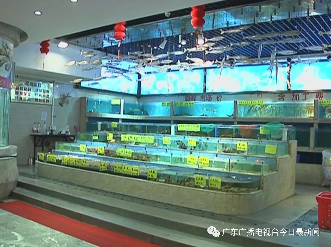 吃水產(chǎn)品要小心！廣州有花甲沙甲白貝檢出獸藥