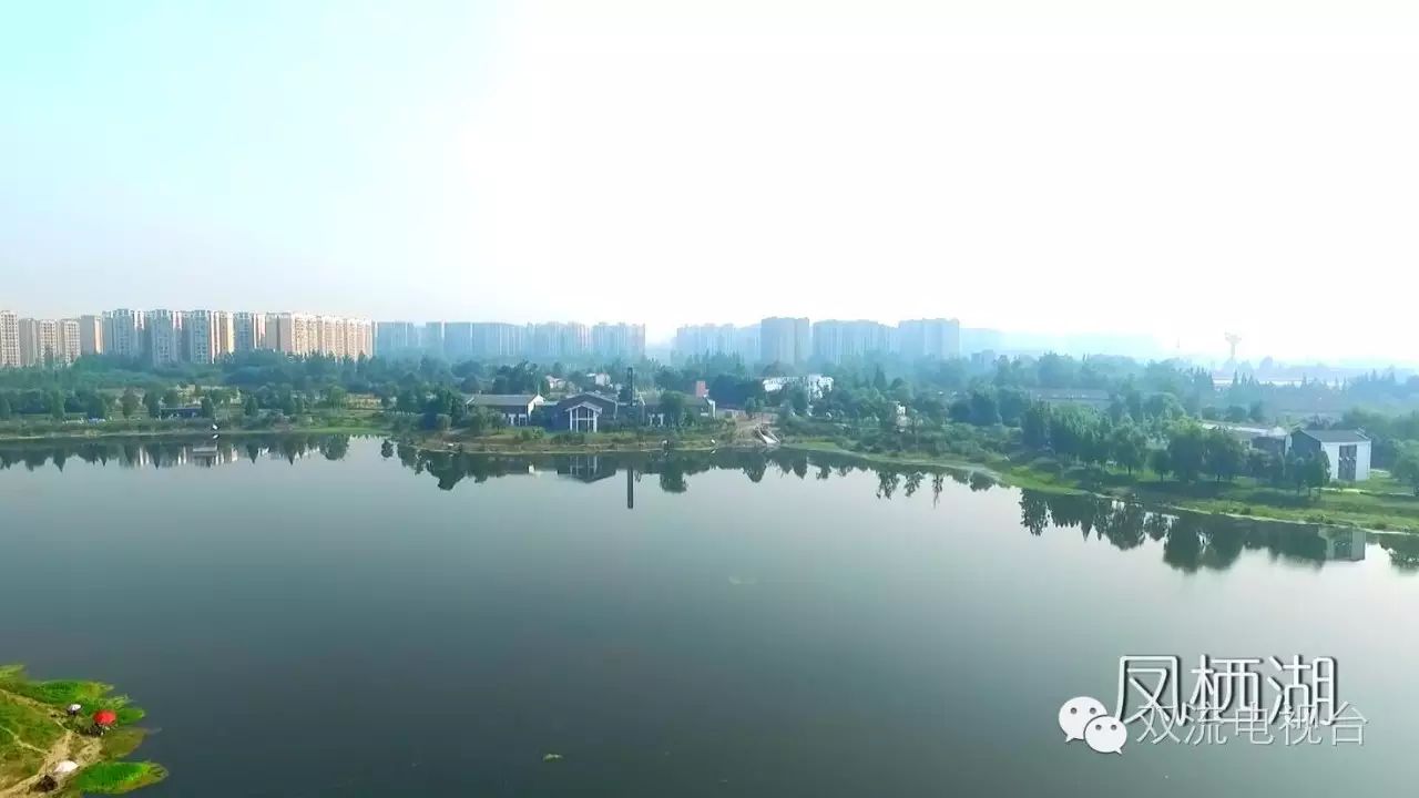 公园内还有三个湖——凤栖湖,凤邻湖,月影湖.