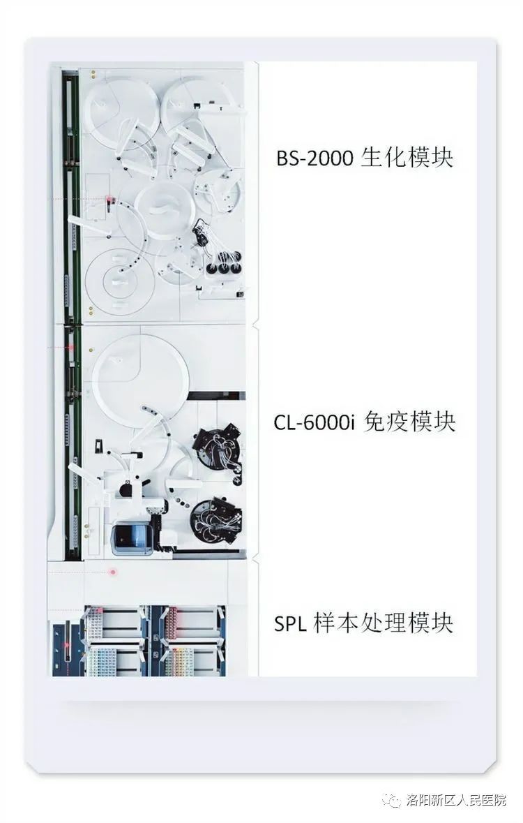 迈瑞sal 9000 全自动生化免疫流水线由bs-2000 生化模块,cl-6000i