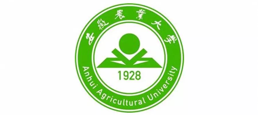 兑山小学附属华侨大学 中南财经 茶山刘大学  天津财大 ▼ 天津村