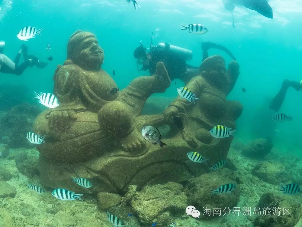 此外, 国际青年们还将在分界洲岛的海洋文化馆, 了解学习热带鱼类的