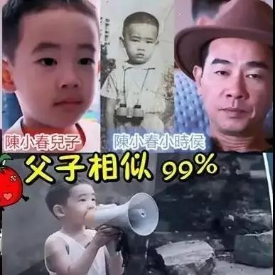 陈小春儿子超萌!尽得父母遗传,浑身都是戏!片段爆光!