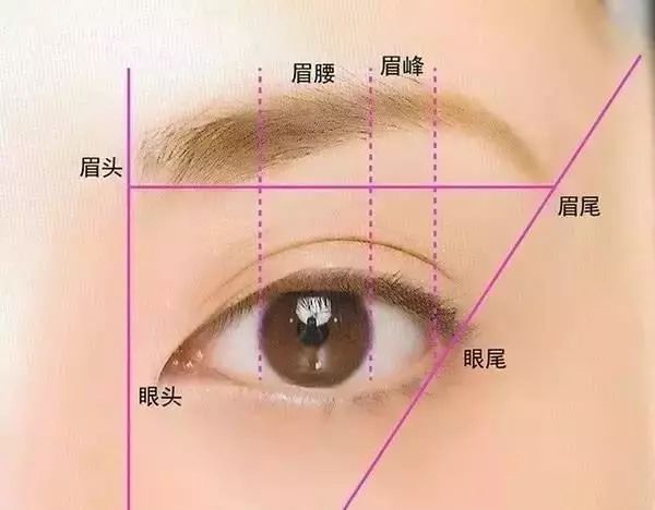 眉型:眉头要从眼角的正上方开始画;眉峰的最高处在外眼角处;眉尾与