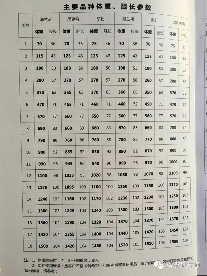 [赵嘟观点] 育成鸡胫长体重之我见