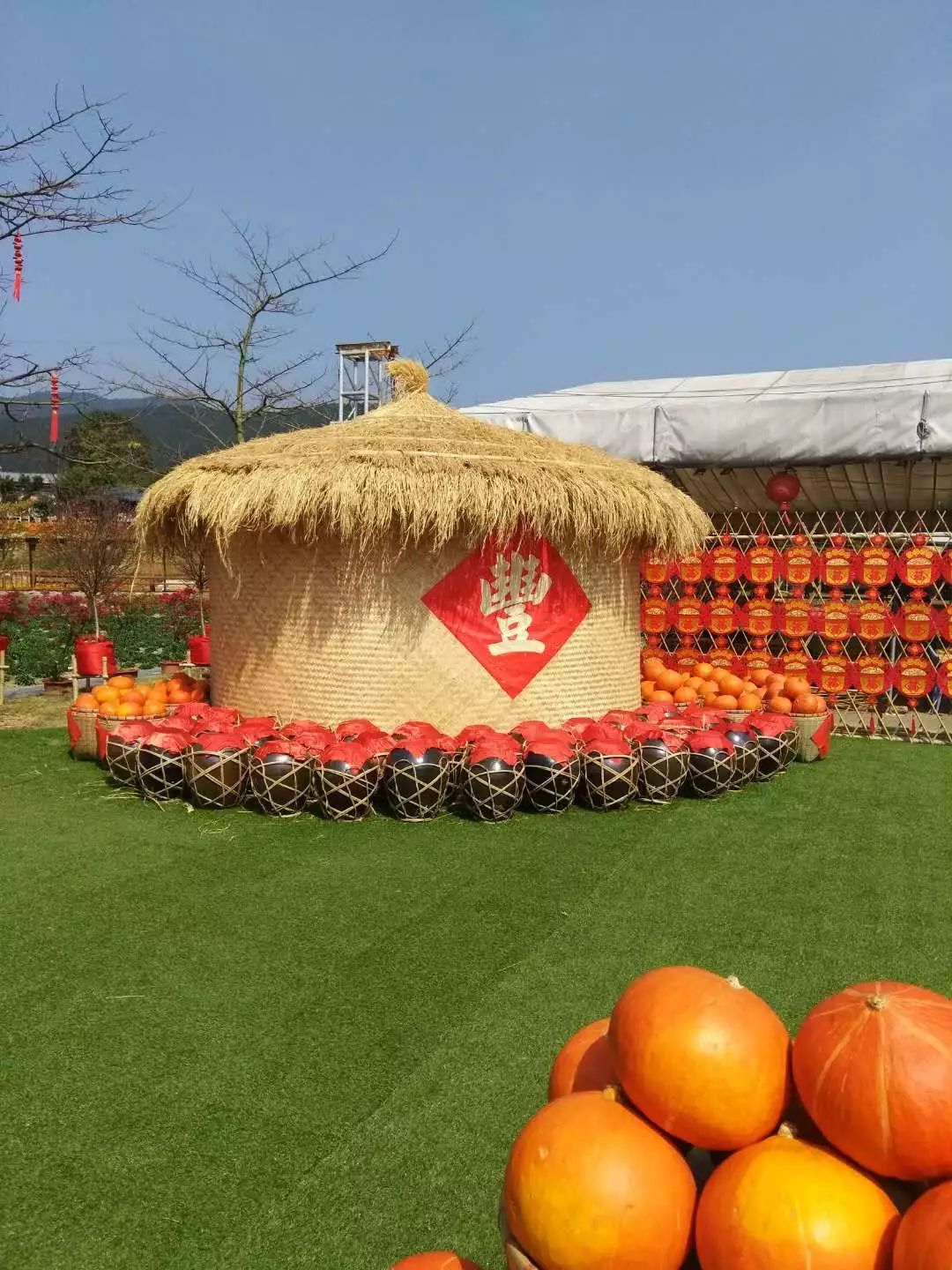 五谷丰登庆新年,年年有余气象新