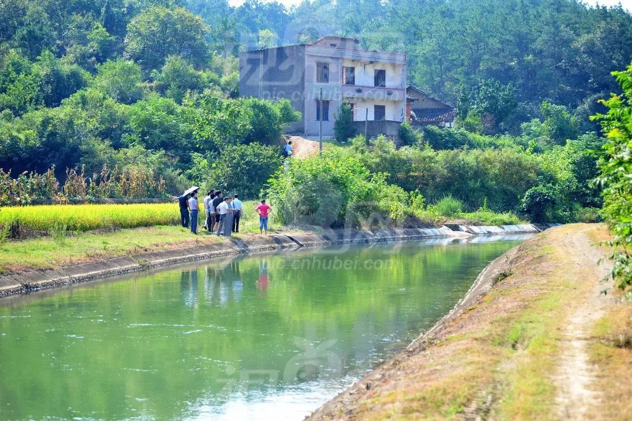 夷陵区分乡镇高家堰村