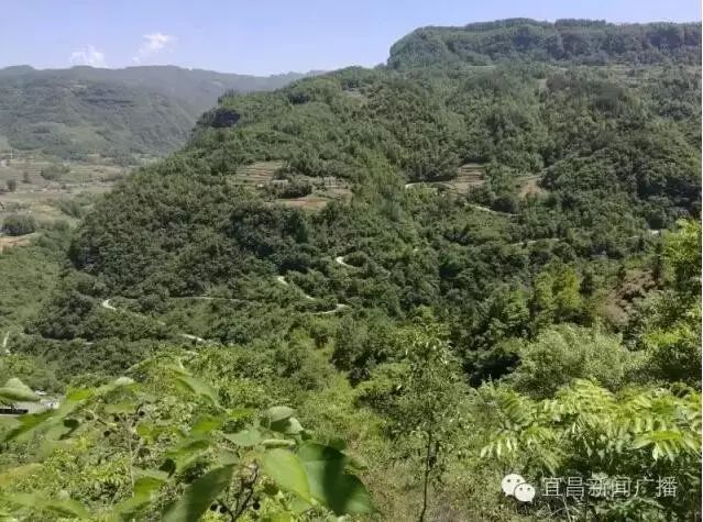 白鹤洞村