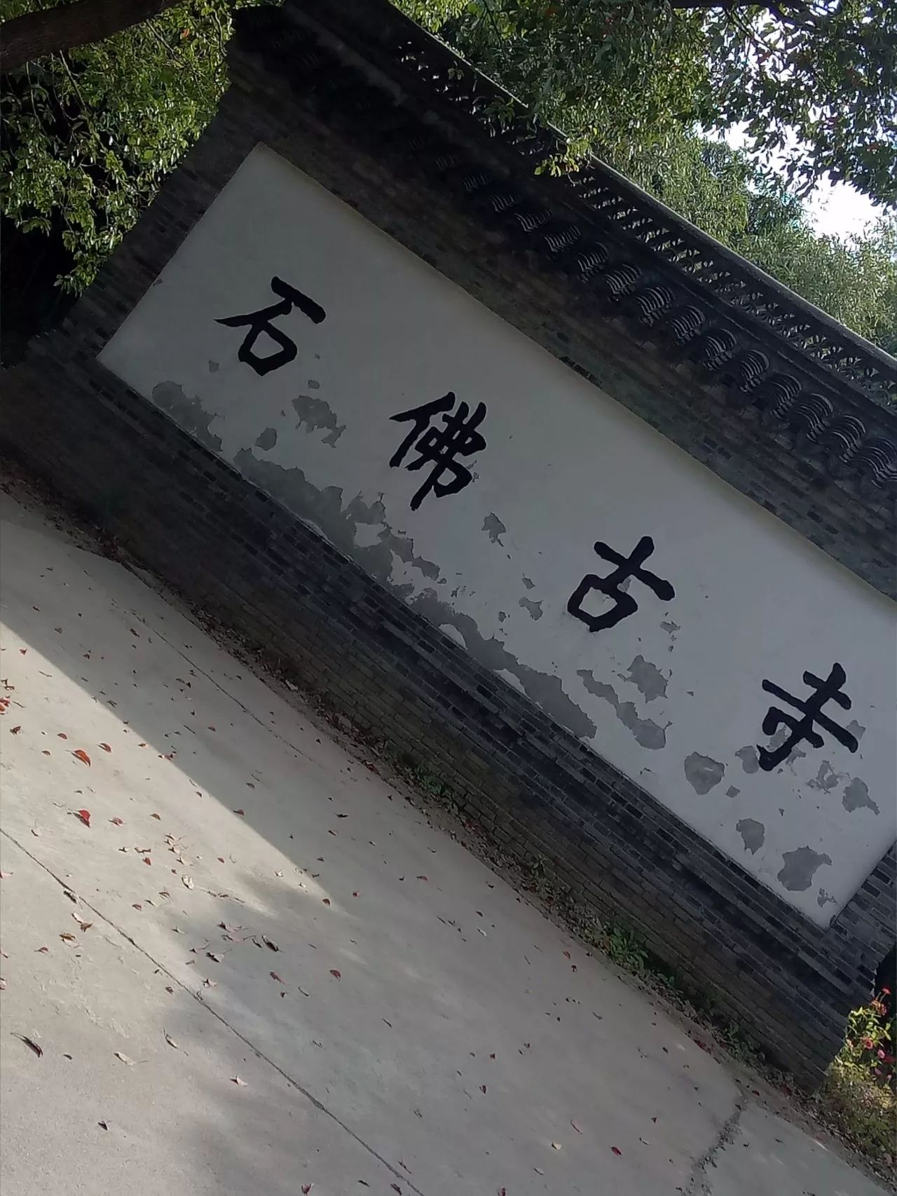 这条绿道岂止是美!(可持续发展公园-梅花洲)不一样的