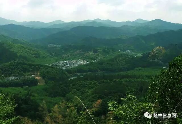 广西大新县审批县改市_广西荔浦县撤县划市_南丹县属于哪个市