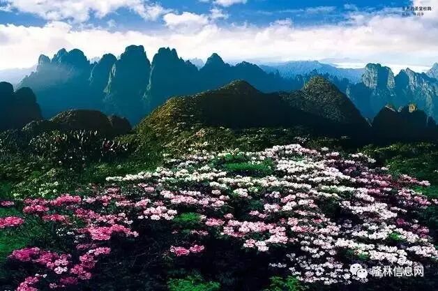 广西大新县审批县改市_南丹县属于哪个市_广西荔浦县撤县划市