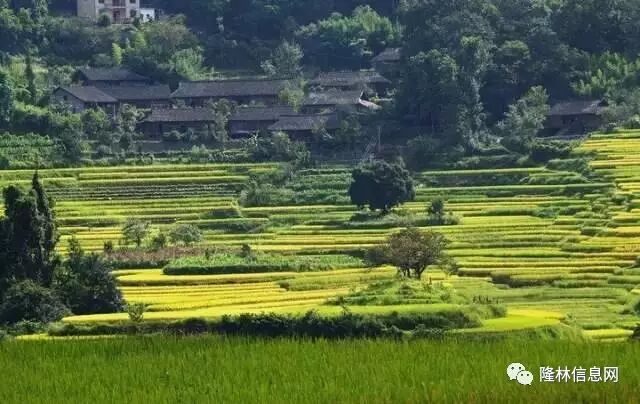 广西荔浦县撤县划市_南丹县属于哪个市_广西大新县审批县改市