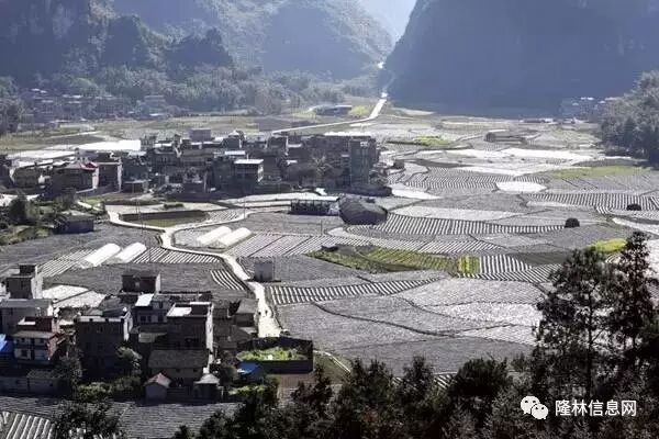 南丹县属于哪个市_广西大新县审批县改市_广西荔浦县撤县划市