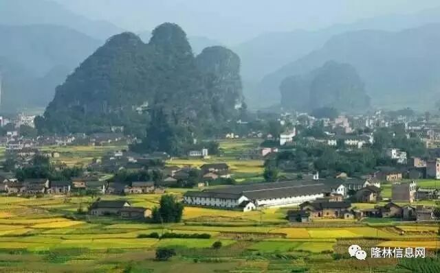 广西大新县审批县改市_南丹县属于哪个市_广西荔浦县撤县划市