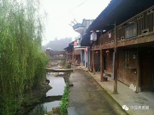 茶马古道的简介_丰宁茶盐古道_惠东茶盐古道