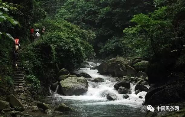 惠东茶盐古道_丰宁茶盐古道_茶马古道的简介