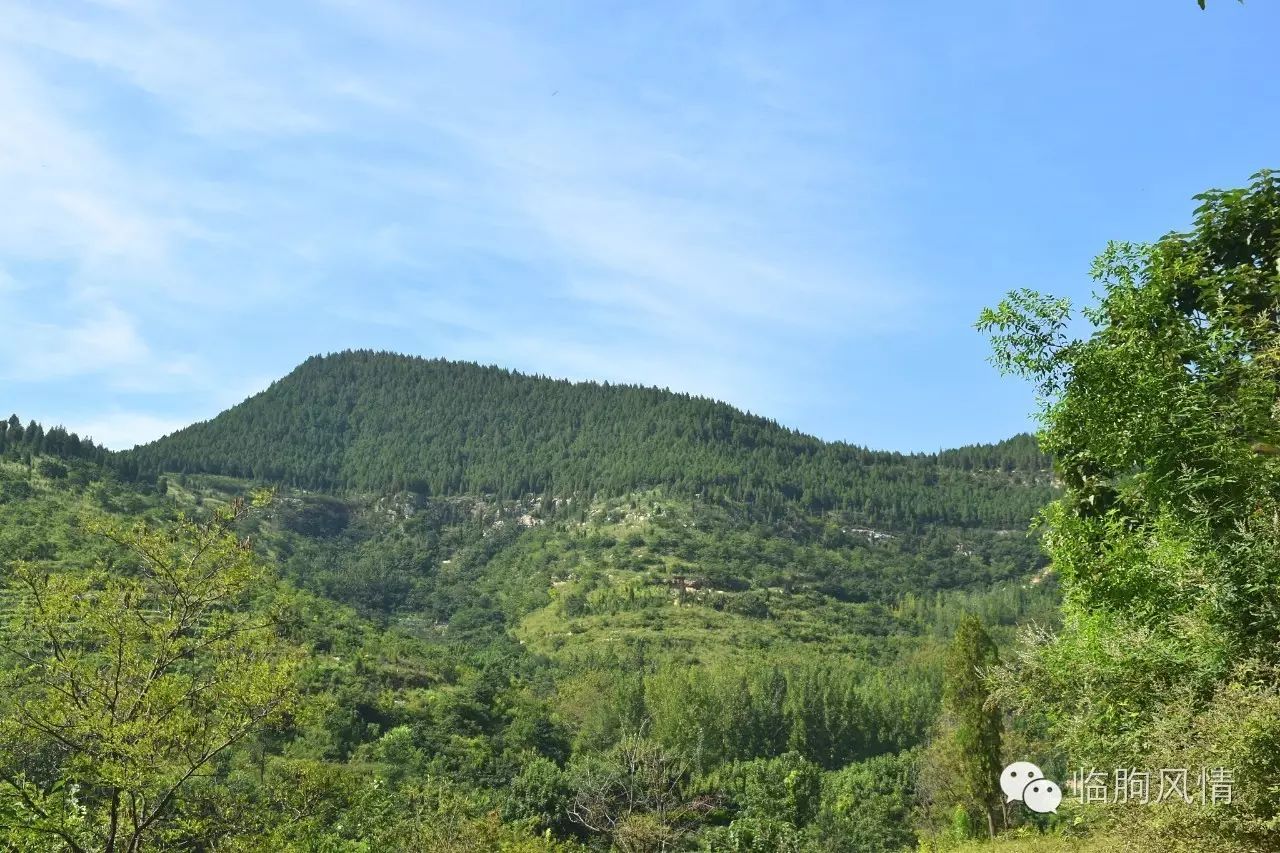 【临朐风情 冶源镇三阳山村-锦绣山村美如画