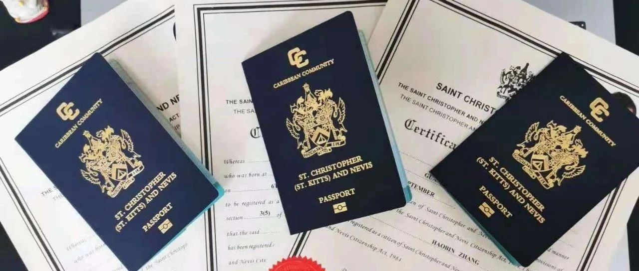 三只小象圣基茨护照案例无移民监、4个月拿护照、免签156国