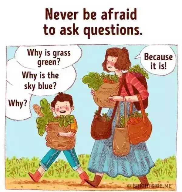 &nbsp;&nbsp;“为什么草是绿色的？”