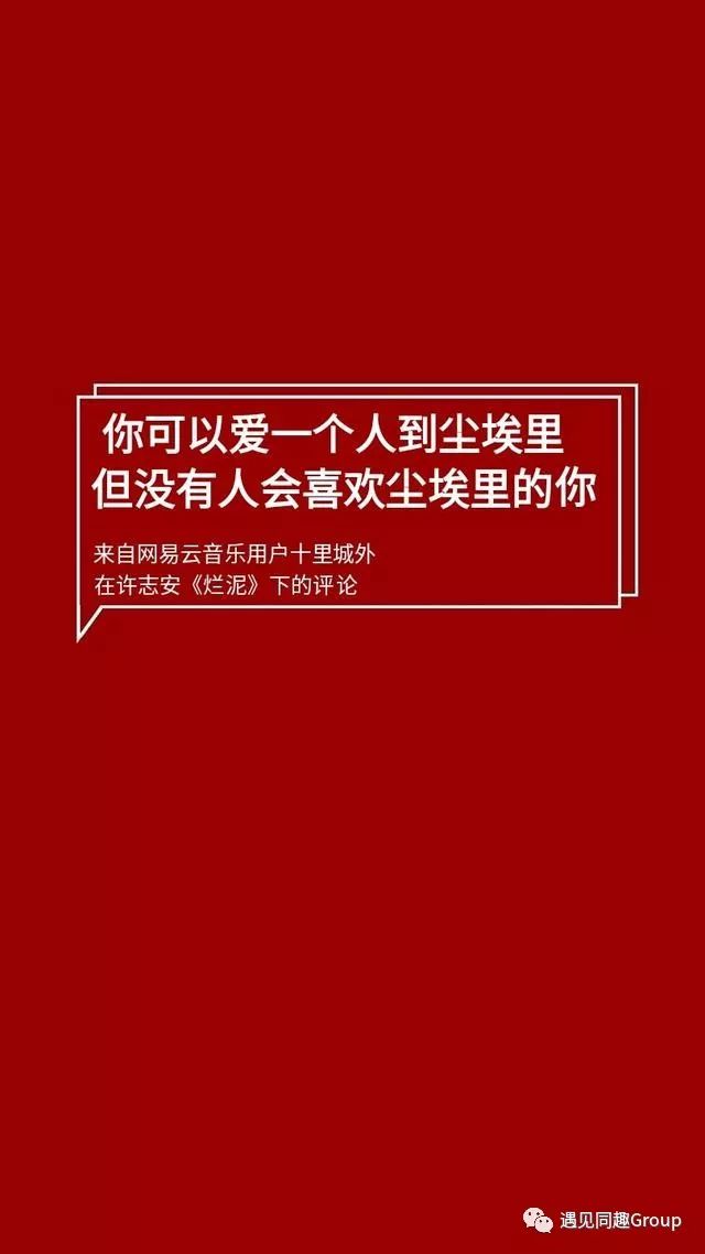 ——网易云音乐《我要回到风里了》热评