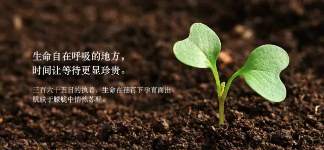 护肤保养图片对比反馈图_哺乳期能做头发保养吗_哺乳期护肤保养小窍门