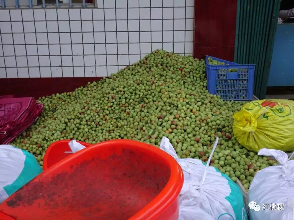 青竹梅的功效和作用_青竹梅水的功效与作用_青竹梅