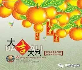 大吉大利大鸡腿 - 华语群星