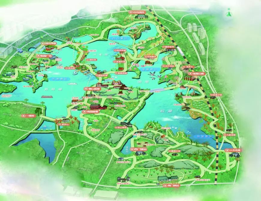 2017年11月,东湖落雁景区,百余只鸬鹚飞来过冬.