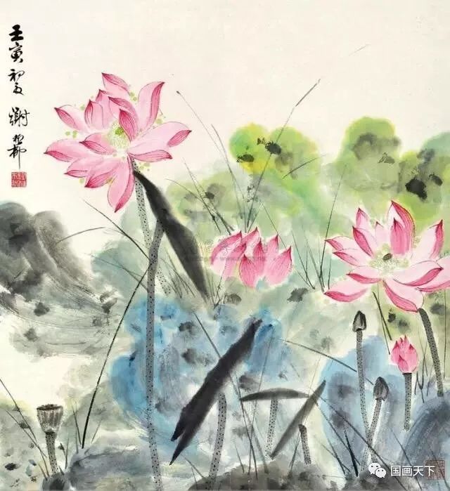 中国画(风荷生动)—谢稚柳荷花作品欣赏