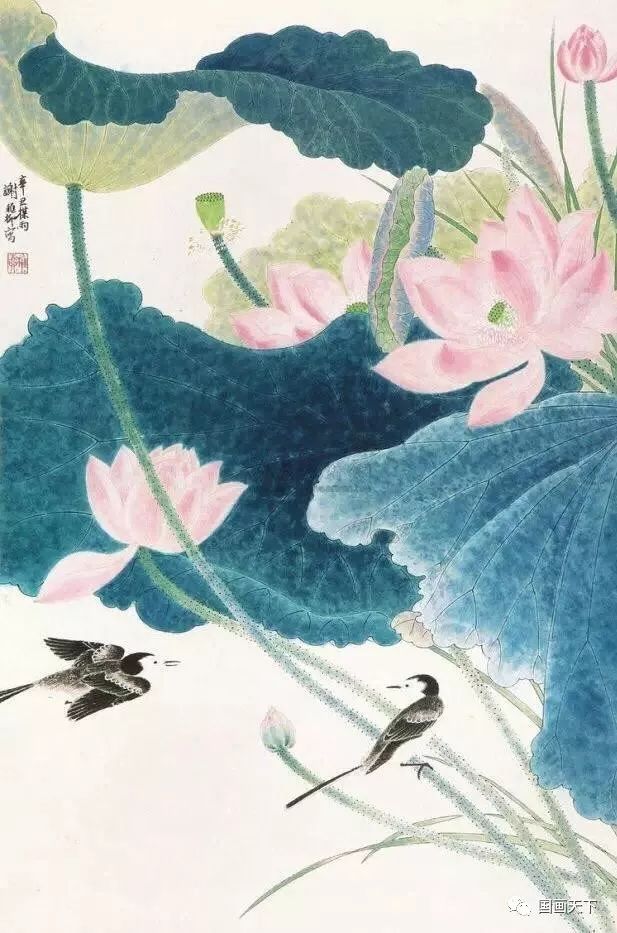 中国画(风荷生动)—谢稚柳荷花作品欣赏