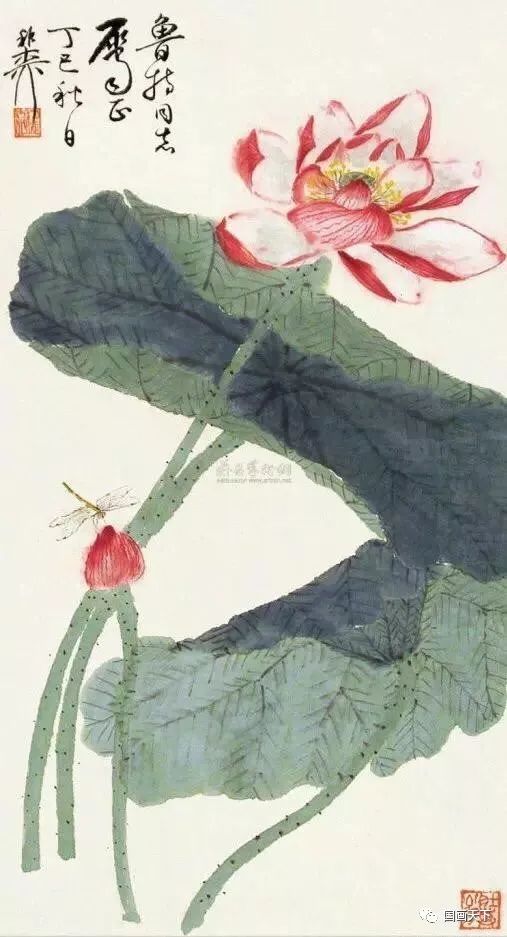 中国画(风荷生动)—谢稚柳荷花作品欣赏