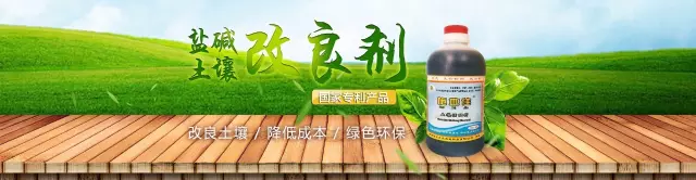 640?wx_fmt=jpeg&tp=webp&wxfrom=5&wx_lazy=1 640?wx_fmt=jpeg&tp=webp&wxfrom=5&wx_lazy=1