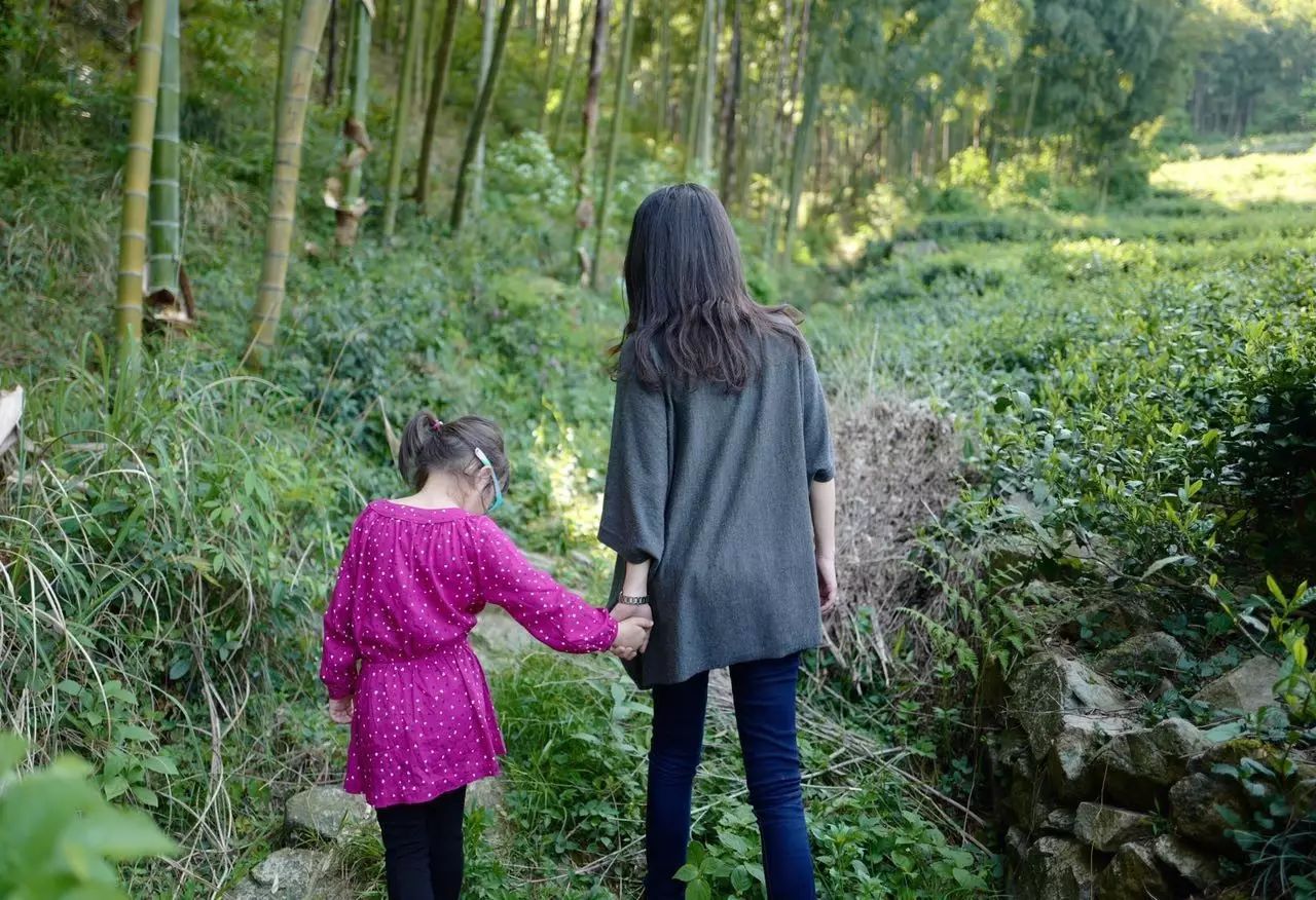 帶娃去旅行｜最適合小長假的親子游目的地，莫干山酒店、交通、游玩攻略