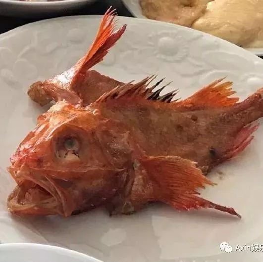俞灏明下厨照罕见曝光,网友看到俞灏明做的鱼后却直呼吓人!