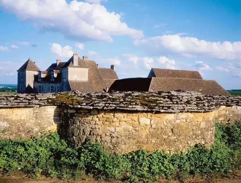 参观夜丘最大的特级园伏旧园(clos de vougeot,以及最著名的罗曼尼