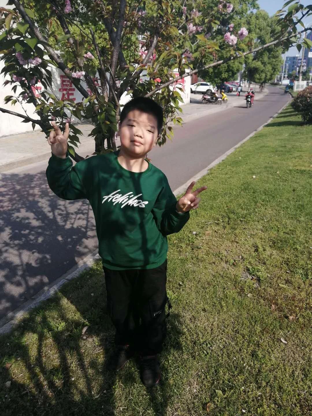 我爱我的家乡小学语文网