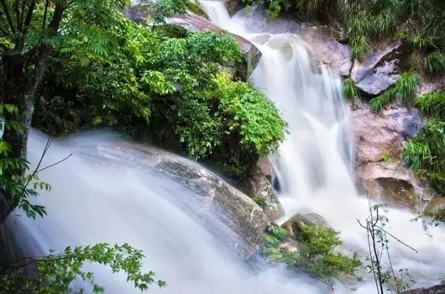 面对来势汹汹的"三伏天"，我只想到三清山凉快去！