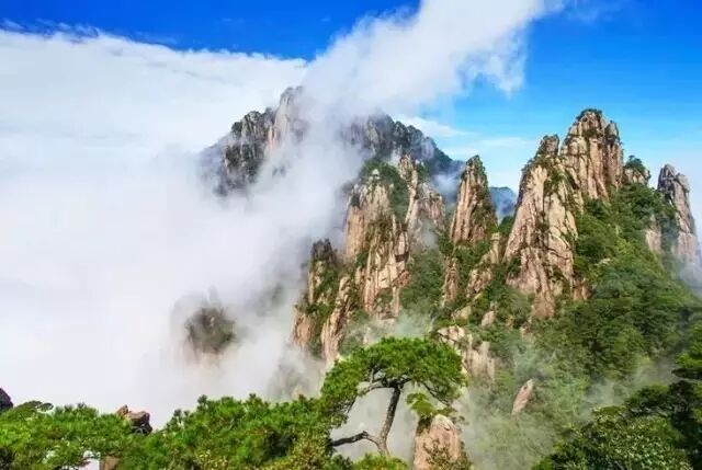 面对来势汹汹的"三伏天"，我只想到三清山凉快去！