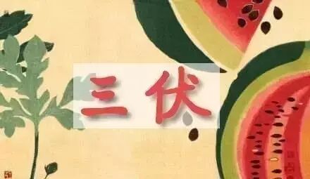 面对来势汹汹的"三伏天"，我只想到三清山凉快去！