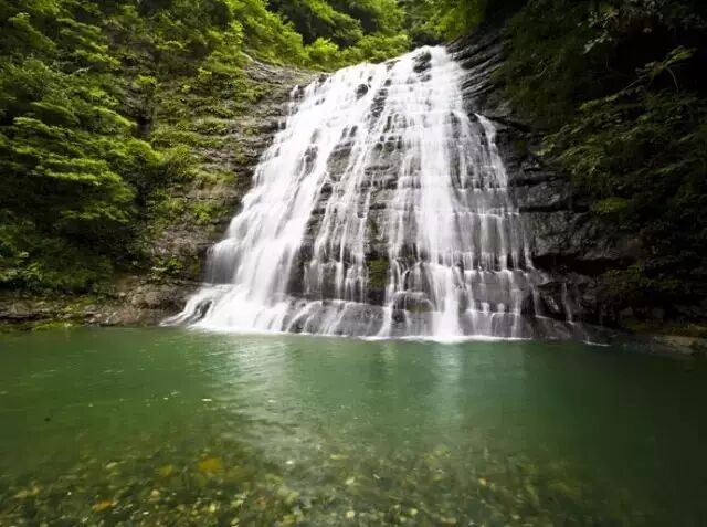 面对来势汹汹的"三伏天"，我只想到三清山凉快去！