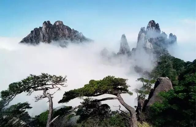 面对来势汹汹的"三伏天"，我只想到三清山凉快去！