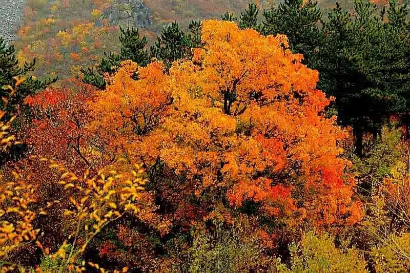 渴望能有一场说走就走的旅行，卸下所有的烦恼和压力，一个人，一个背包，放下一切，没有牵绊，有机会就得抓住，有想法就去实行。